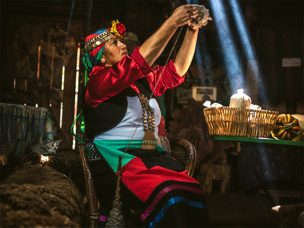 Femme Mapuche