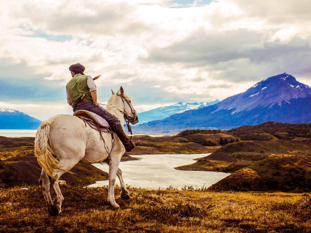 Le gaucho sur son cheval